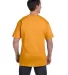 5190 Hanes® Beefy®-T with Pocket in Gold back view