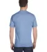 5280 Hanes Heavyweight T-shirt in Light blue back view