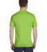 5280 Hanes Heavyweight T-shirt in Lime back view