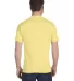 5280 Hanes Heavyweight T-shirt in Daffodil yellow back view