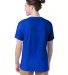 5280 Hanes Heavyweight T-shirt in Athletic royal back view