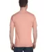 5280 Hanes Heavyweight T-shirt in Candy orange back view