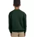 562B Jerzees Youth NuBlend® Crewneck 50/50 Sweats FOREST GREEN back view