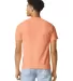 1717 Comfort Colors - Garment Dyed Heavyweight T-S in Neon cantaloupe back view