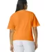 1717 Comfort Colors - Garment Dyed Heavyweight T-S in Bright orange back view
