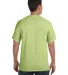 1717 Comfort Colors - Garment Dyed Heavyweight T-S in Celadon back view