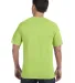 1717 Comfort Colors - Garment Dyed Heavyweight T-S in Kiwi back view