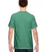 1717 Comfort Colors - Garment Dyed Heavyweight T-S in Island green back view