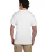 5170 Hanes® Comfortblend 50/50 EcoSmart® T-shirt in White back view