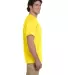 5170 Hanes® Comfortblend 50/50 EcoSmart® T-shirt in Yellow side view