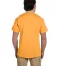 5170 Hanes® Comfortblend 50/50 EcoSmart® T-shirt in Gold back view