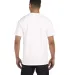 6030 Comfort Colors - Pigment-Dyed Short Sleeve Sh in White back view