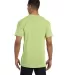 6030 Comfort Colors - Pigment-Dyed Short Sleeve Sh in Celadon back view