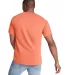 6030 Comfort Colors - Pigment-Dyed Short Sleeve Sh in Blossom back view