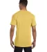 6030 Comfort Colors - Pigment-Dyed Short Sleeve Sh in Mustard back view