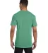 6030 Comfort Colors - Pigment-Dyed Short Sleeve Sh in Island green back view