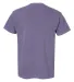 6030 Comfort Colors - Pigment-Dyed Short Sleeve Sh in Grape back view