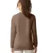 6014 Comfort Colors - 6.1 Ounce Ringspun Cotton Lo in Espresso back view