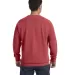 1566 Comfort Colors - Pigment-Dyed Crewneck Sweats in Crimson back view