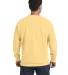 1566 Comfort Colors - Pigment-Dyed Crewneck Sweats in Butter back view