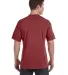 4017 Comfort Colors - Combed Ringspun Cotton T-Shi in Brick back view