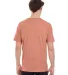 4017 Comfort Colors - Combed Ringspun Cotton T-Shi in Terracota back view