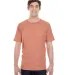 4017 Comfort Colors - Combed Ringspun Cotton T-Shi in Terracota front view