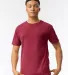 4017 Comfort Colors - Combed Ringspun Cotton T-Shirt Catalog catalog view