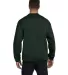 S600 Champion Logo Double Dry Crewneck Pullover in Dark green back view