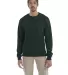 S600 Champion Logo Double Dry Crewneck Pullover in Dark green front view