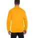 S600 Champion Logo Double Dry Crewneck Pullover in Gold back view