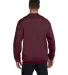 S600 Champion Logo Double Dry Crewneck Pullover in Maroon back view