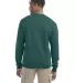 S600 Champion Logo Double Dry Crewneck Pullover in Emerald green back view