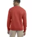 S600 Champion Logo Double Dry Crewneck Pullover in Red river clay back view
