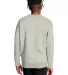 S600 Champion Logo Double Dry Crewneck Pullover in Oatmeal heather back view