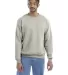 S600 Champion Logo Double Dry Crewneck Pullover in Oatmeal heather front view