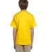 2000B Gildan™ Ultra Cotton® Youth T-shirt in Daisy back view