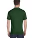 G800 Gildan Ultra Blend 50/50 T-shirt in Sport dark green back view