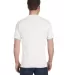 G800 Gildan Ultra Blend 50/50 T-shirt in White back view