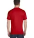 G800 Gildan Ultra Blend 50/50 T-shirt in Red back view