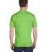 G800 Gildan Ultra Blend 50/50 T-shirt in Lime back view