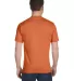 G800 Gildan Ultra Blend 50/50 T-shirt in T orange back view