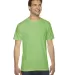 2001 American Apparel Fine USA Made Jersey Tee in Grass front view