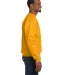 P160 Hanes® PrintPro®XP™ Comfortblend® Sweats in Gold side view