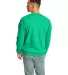 P160 Hanes® PrintPro®XP™ Comfortblend® Sweats in Kelly green back view