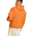 P170 Hanes® PrintPro®XP™ Comfortblend® Hooded in Tennessee orange back view