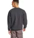 F260 Hanes® PrintPro®XP™ Ultimate Cotton® Swe in Smoke gray back view