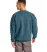 F260 Hanes® PrintPro®XP™ Ultimate Cotton® Swe in Cactus back view