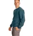F260 Hanes® PrintPro®XP™ Ultimate Cotton® Swe in Cactus side view