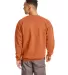 F260 Hanes® PrintPro®XP™ Ultimate Cotton® Swe in Pumpkin back view